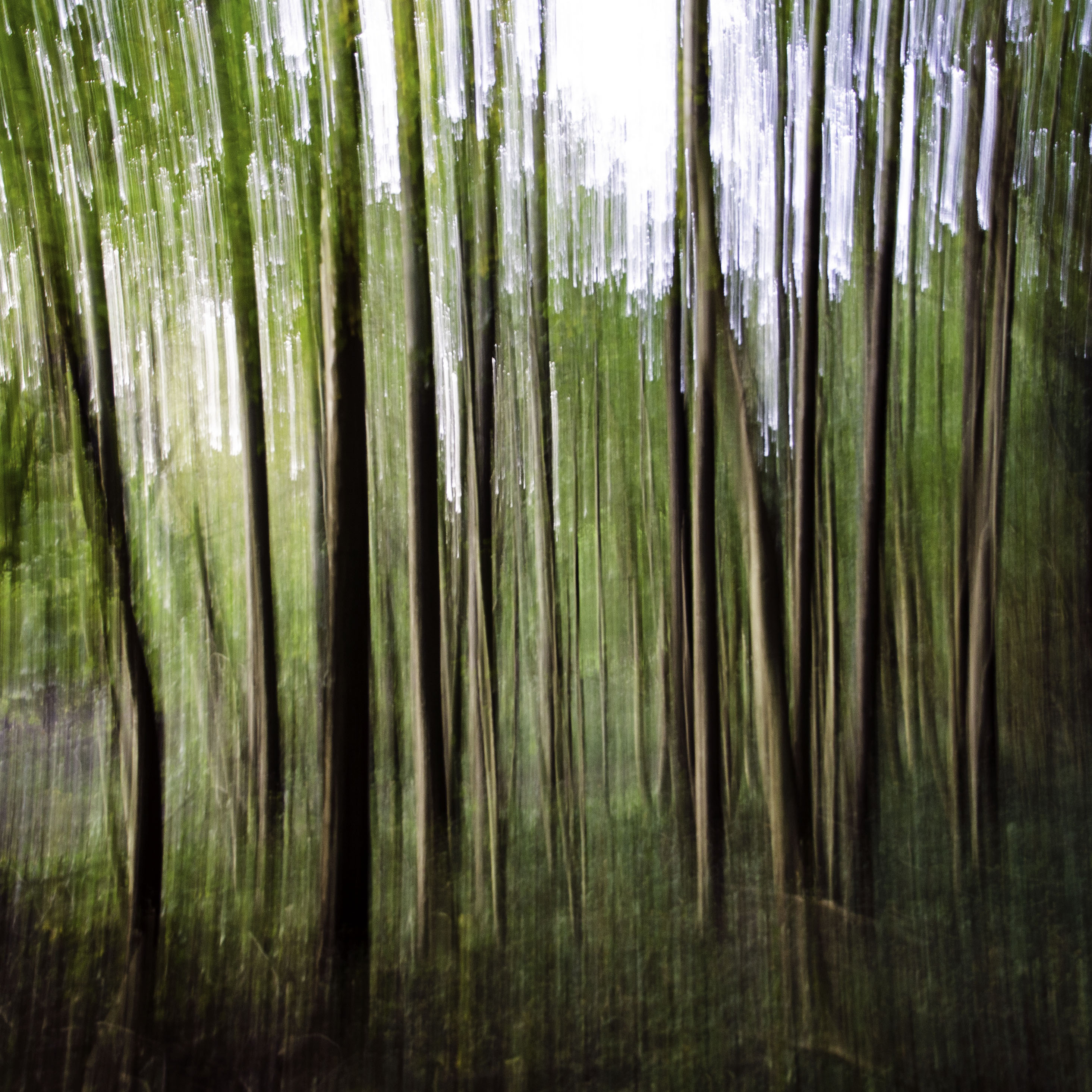  Movement 