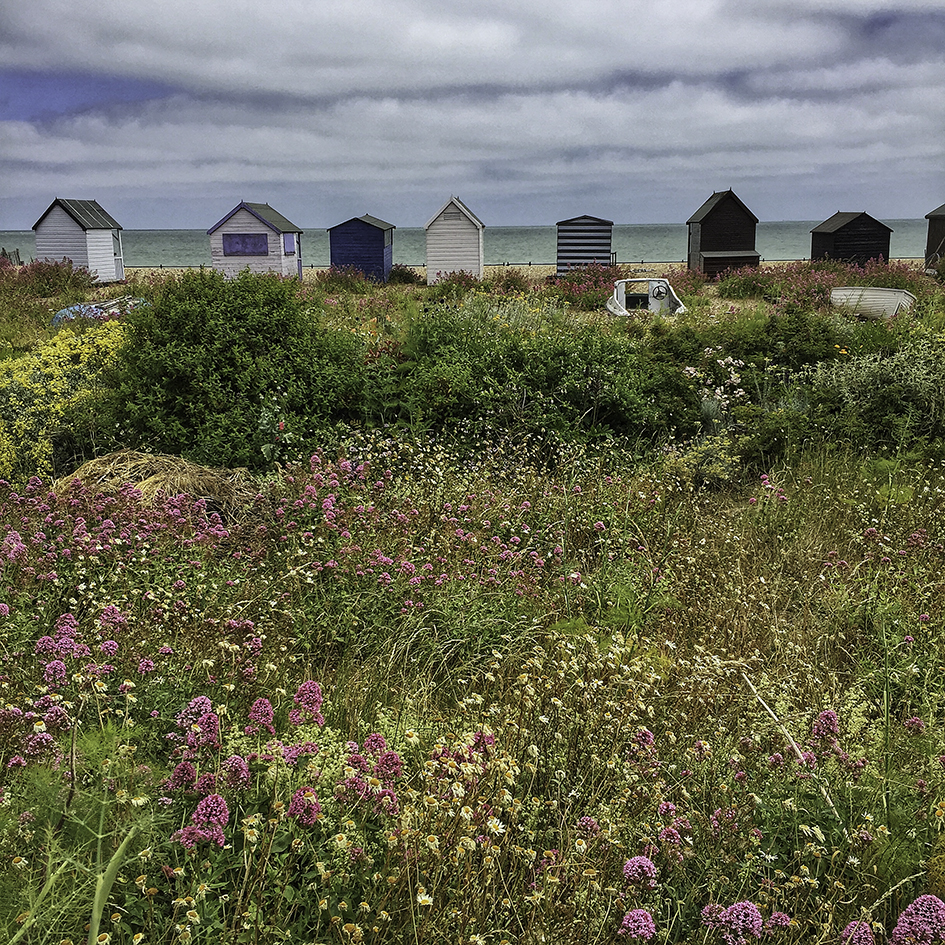  Sea of Flowers 