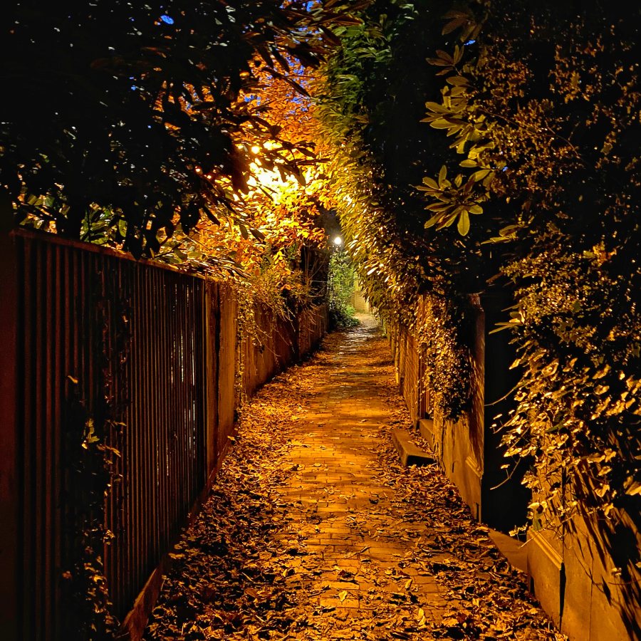 Cumberland Walk